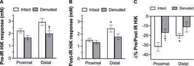 Infrared light elicits endothelium-dependent vasodilation in isolated occipital arteries of the rat via soluble guanylyl cyclase-dependent mechanisms